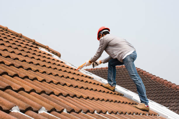 Best 4 Ply Roofing  in Sheldon, TX